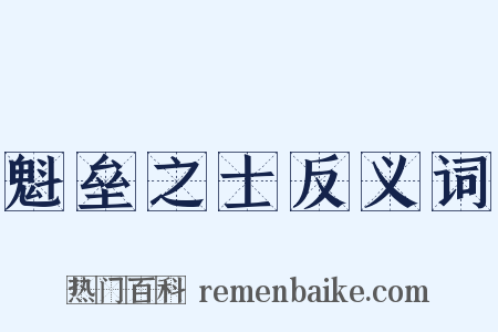 魁垒之士反义词是什么意思的图片